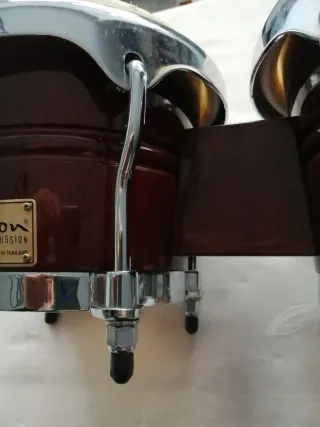 Bongos Tycoon Master