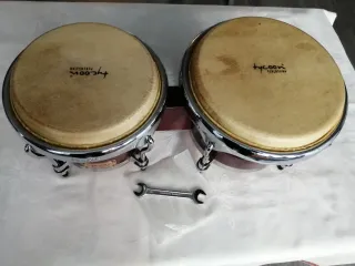 Bongos Tycoon Master