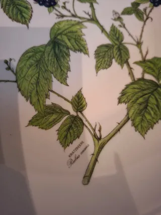 Quattro piatti fondi Waldbeere