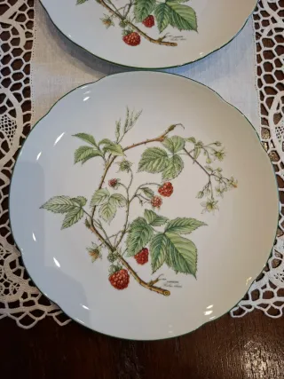 Quattro piatti Waldbeere porcellana