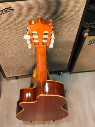 Chitarra Alhambra Crossover CS-1 S E1