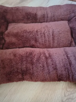 Lote nuevo de Cama, Comedero, bebedero, alfombrill