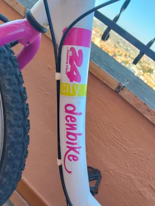 Bicicleta de Montaña DENBIKE 24