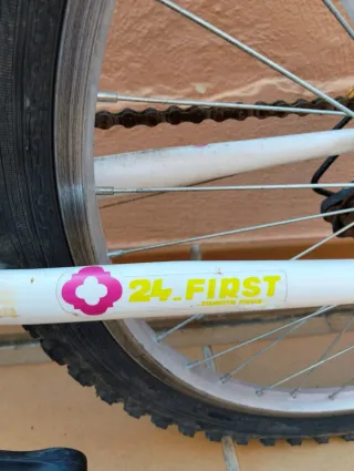 Bicicleta de Montaña DENBIKE 24