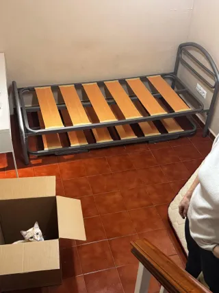 Cama nido sin colchones