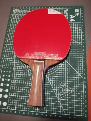Pala raqueta tenis de mesa ping pong