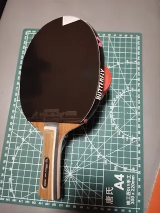 Pala raqueta tenis de mesa ping pong