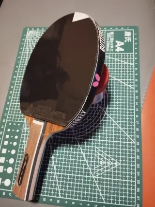 Pala raqueta tenis de mesa ping pong