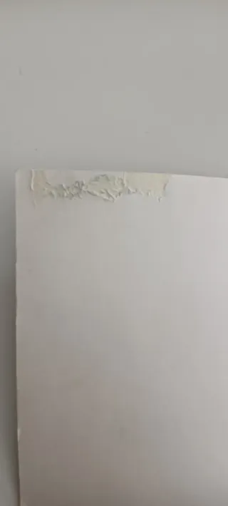 Isadora Moon va al parque de atracciones / Isad...