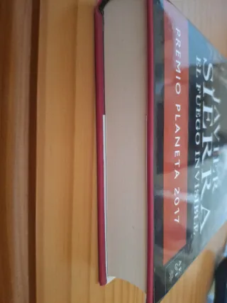 El fuego invisible: Premio Planeta 2017 (Spanis...