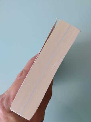 El sueño de África (literatura de viajes)