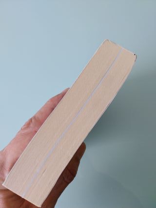 El sueño de África (literatura de viajes)