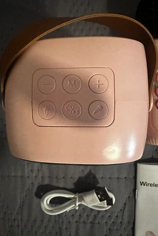 Cassa Karaoke Bluetooth 2 Microfoni