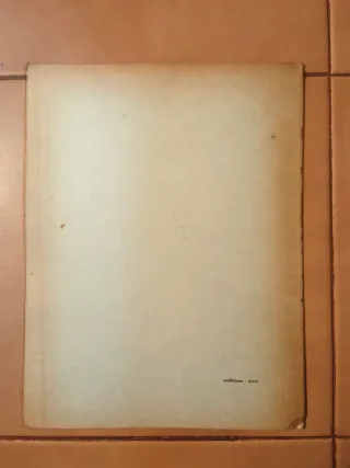 O Documento N. 13 Dos Diplomata et Chartae