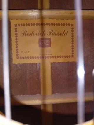 GuitarraRODERICH PAESOLD 12 cuerdas +Afinador