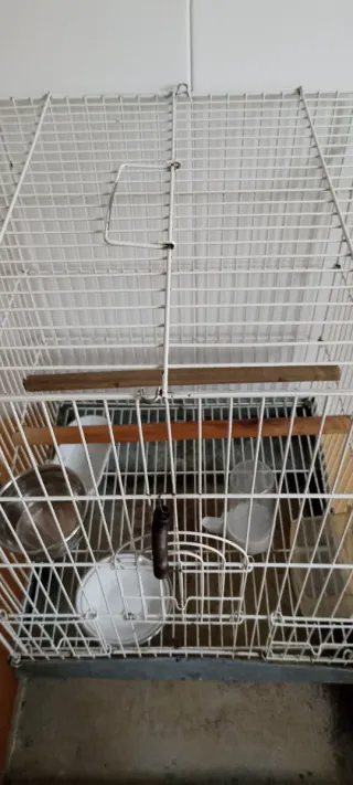 Jaula grande para pájaros