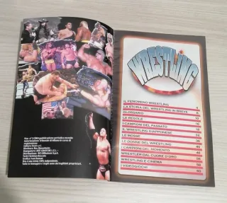 Rivista Guida Indispensabile Segreti Wrestling