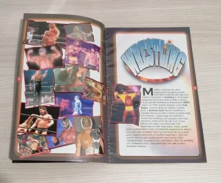 Rivista Guida Indispensabile Segreti Wrestling