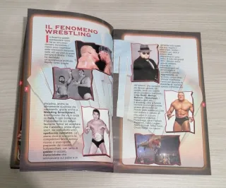 Rivista Guida Indispensabile Segreti Wrestling