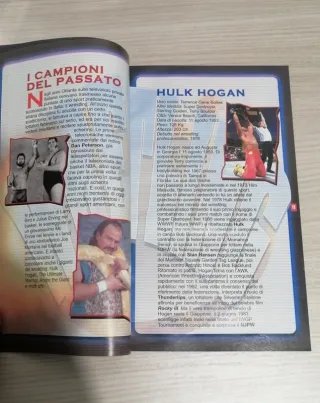 Rivista Guida Indispensabile Segreti Wrestling