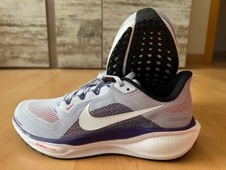 Zapatillas Nike Pegasus Talla 41