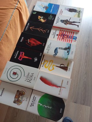 Lote de 14 títulos ,el País aventuras