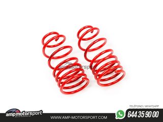 MUELLES DEPORTIVOS MTS TECHNIK MTSXFI019