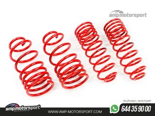 MUELLES DEPORTIVOS MTS TECHNIK MTSXMM038