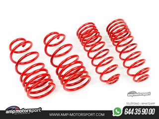 MUELLES DEPORTIVOS MTS TECHNIK MTSXSE138