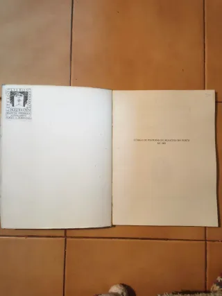 Código de Posturas do Município do Porto (1905)