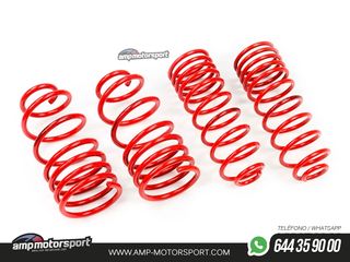 MUELLES DEPORTIVOS MTS TECHNIK MTSXSU017