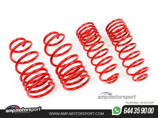 MUELLES DEPORTIVOS MTS TECHNIK MTSXAU117