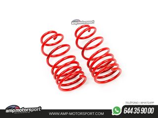 MUELLES DEPORTIVOS MTS TECHNIK MTSXRE081