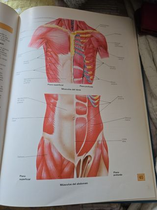 Atlas de anatomía