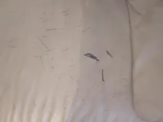 Sofá Natuzzi Piel 4 Plazas Blanco