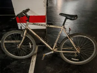 Bicicleta Motív Rockridge