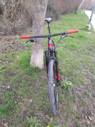 Bici Montaña Carbono Kross