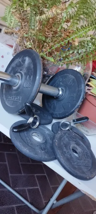 Mancuerna Domyos Fitness