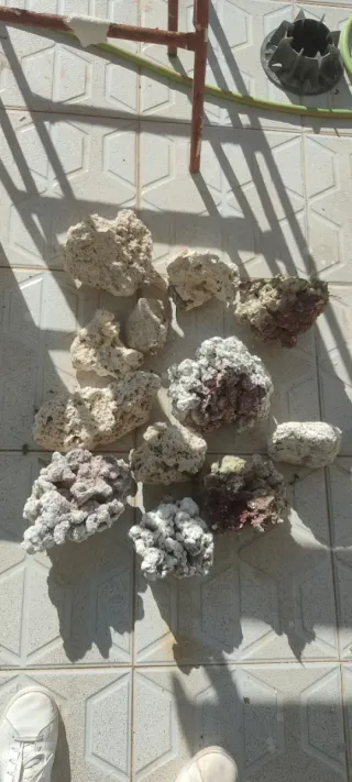 Rocas para acuario marino
