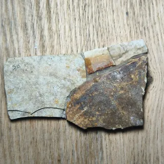 FOSIL DE PEZ EN PIEDRA