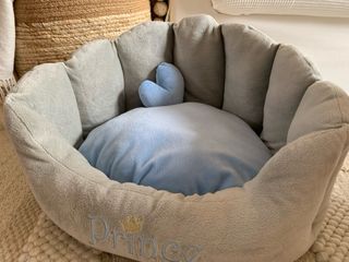 Camta para mascota “Prince”