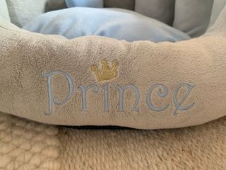 Camta para mascota “Prince”