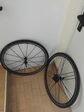 Ruedas campagnolo Shamal ultra