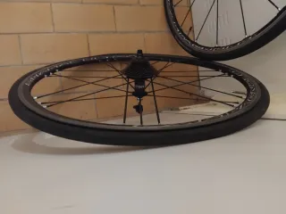 Ruedas campagnolo Shamal ultra