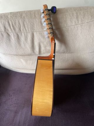 Bandurria Prudencio Saez 170