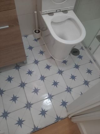 Cambio Plato de ducha Pintura Reforma Integral