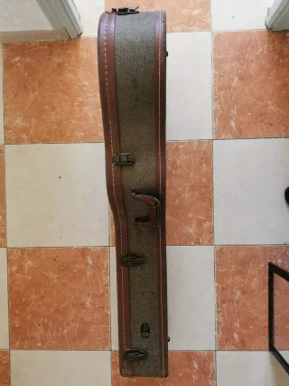 Guitarra Cort AS M5 NAT