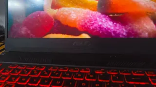 Portátil Gaming ASUS TUF 17 FX705GD