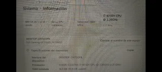 Portátil Gaming ASUS TUF 17 FX705GD