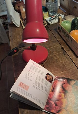 LÁMPARA DE ESCRITORIO FLEXIBLE ROJA